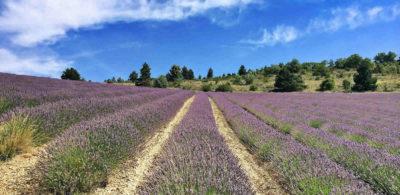 Randonnées à La Motte Chalancon