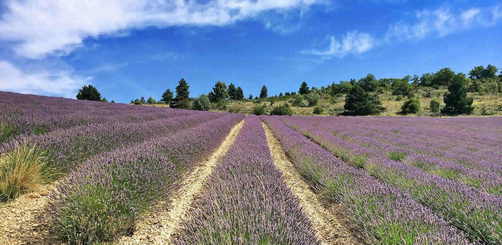 Randonnées La Motte Chalancon