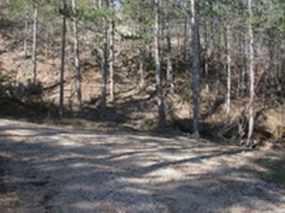 Chemin des Pennes dans la forêt de pins