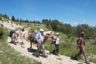 Descente des Ruelles