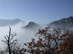 collines dans le brouillard