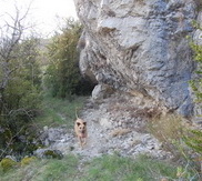 Le sentier sous la falaise