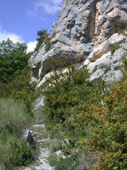 La descente par le sentier de l'Echaillon