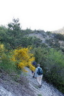 Le sentier de montée