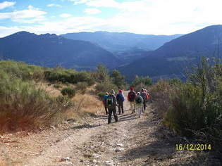 sur les chemins